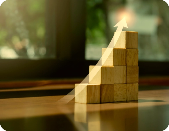 Our History and Growth