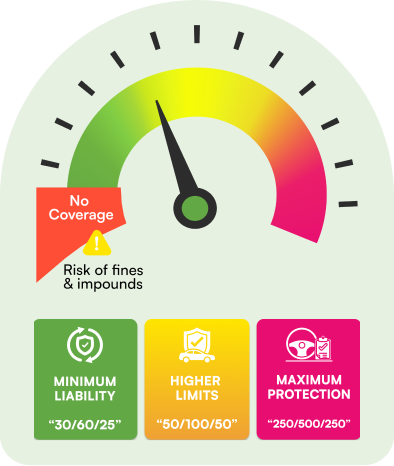 How Much Van Insurance Coverage Do I Need in Texas?